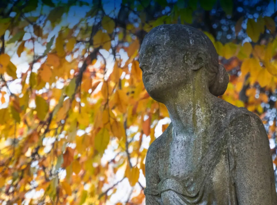 Close up photo of a statue