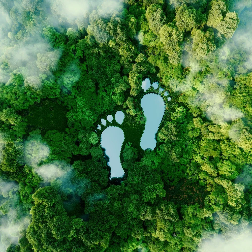Aerial view of a forest with footprint shaped lakes